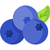 Blueberry